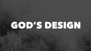 Read more about the article God’s design